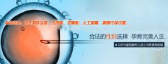 这几个身体条件达标，试管成功概率才更大